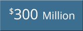 300 million timeline logo